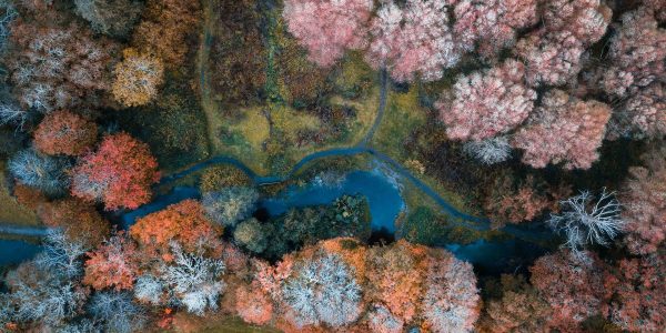 Take Awesome Photo with Drones Tips