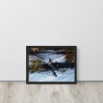 Winter Icy Roads Footpath