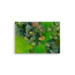 Irish Autumn Forest Wall Art - Aerial Photo Framed - 21x30