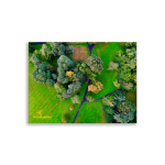 Irish Autumn Forest Wall Art - Aerial Photo Framed - 30x40