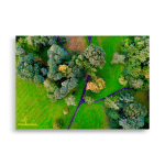 Irish Autumn Forest Wall Art - Aerial Photo Framed - 70x100