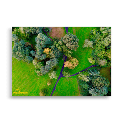 Irish Autumn Forest Wall Art - Aerial Photo Framed - 70x100