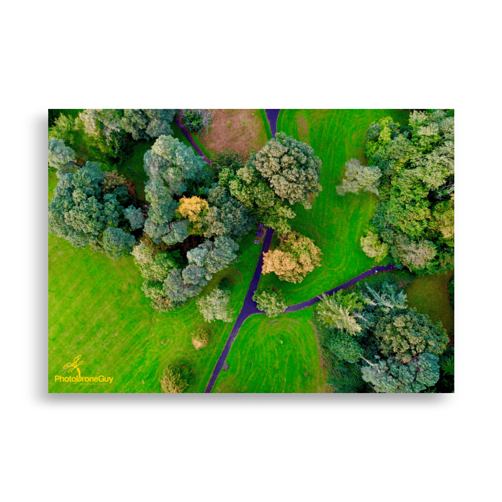 Irish Autumn Forest Wall Art - Aerial Photo Framed - 70x100 Irish Autumn Forest Wall Art - Aerial Photo Framed - 70x100