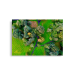 Irish Autumn Forest Wall Art - Aerial Photo Framed - A1 59.4x84.1