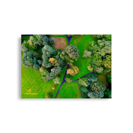 Irish Autumn Forest Wall Art - Aerial Photo Framed - A1 59.4x84.1
