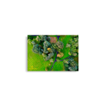 Irish Autumn Forest Wall Art - A2 42x59.4