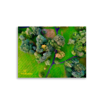 Irish Autumn Forest Wall Art - 30x40