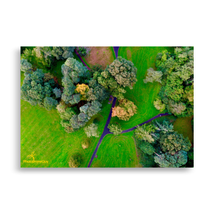 Irish Autumn Forest Wall Art - 70x100