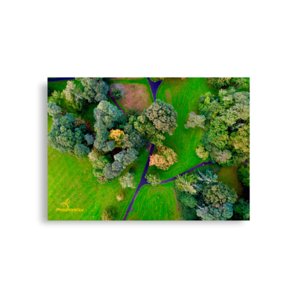 Irish Autumn Forest Wall Art - A1 59.4x84.1