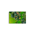 Irish Autumn Forest Wall Art - A2 42x59.4